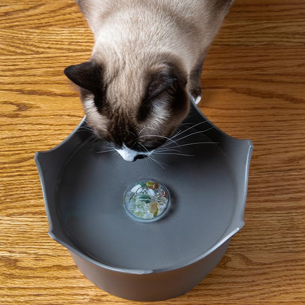 Trinkschale für Haustiere Wasserschale Hunde Katzen Edelsteine