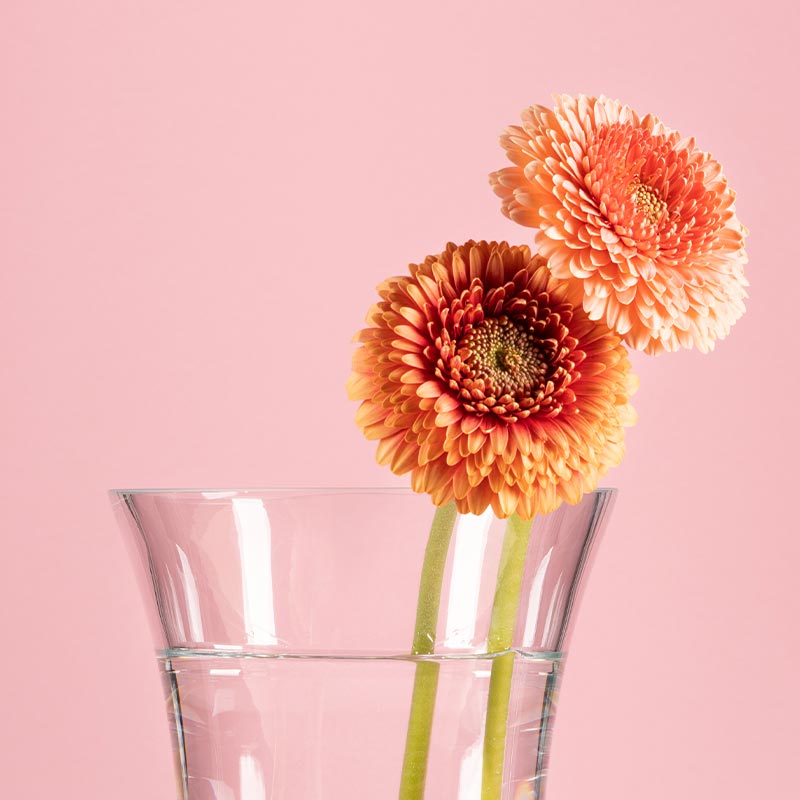 vitajuwel blumevase länger blühen mit edelsteinen im glas